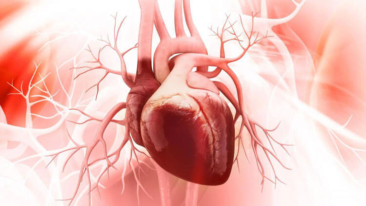 پیش‌بینی بیماری‌های قلبی با بررسی رسوب کلسیم در رگ‌ها
