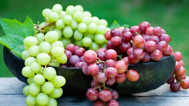 انگور خطر ابتلا به سرطان‌های گوارشی را کاهش می‌دهد