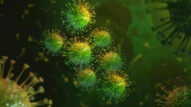 شکل بعدی عفونت فلاوی‌ویروس از کجا خواهد آمد؟