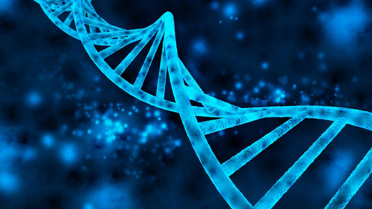 ۸۶ بیمار انسانی مورد آزمایش اصلاح ژن CRISPR قرار گرفتند.