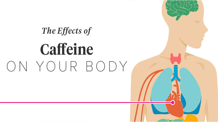 کافئین چه تاثیری بر بدن شما دارد