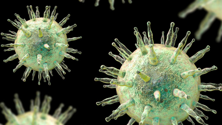 هر آن‌چه باید درباره ویروس اپشتین بار بدانید