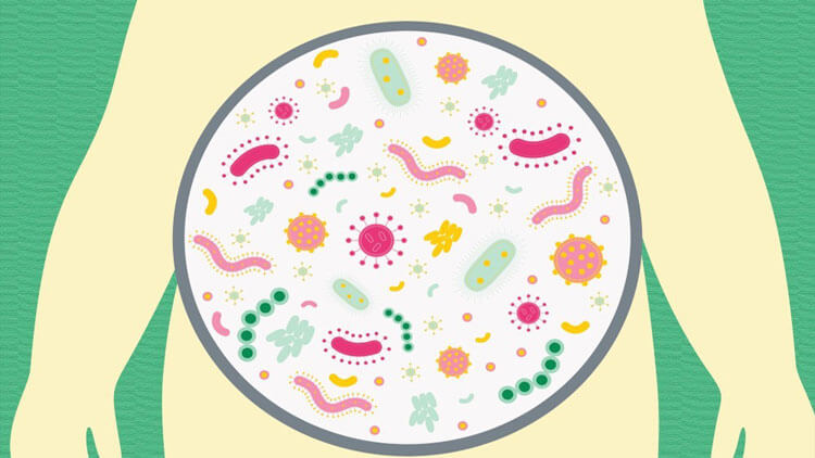 معرفی راه‌هایی برای بهبود باکتری‌های روده بر اساس یافته‌های علمی